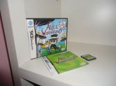 Nintendo DS Alice in Wonderland